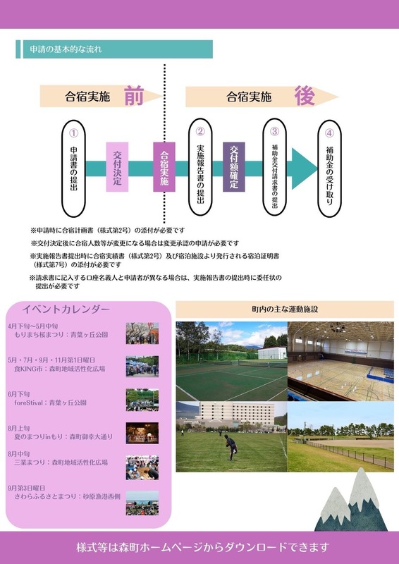 文化スポーツ合宿誘致推進補助金チラシ裏.jpg