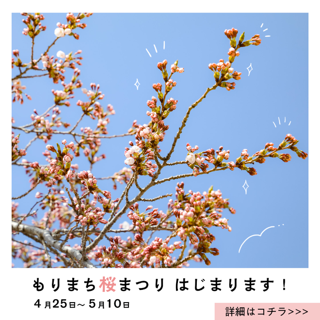 はじまります！桜まつり