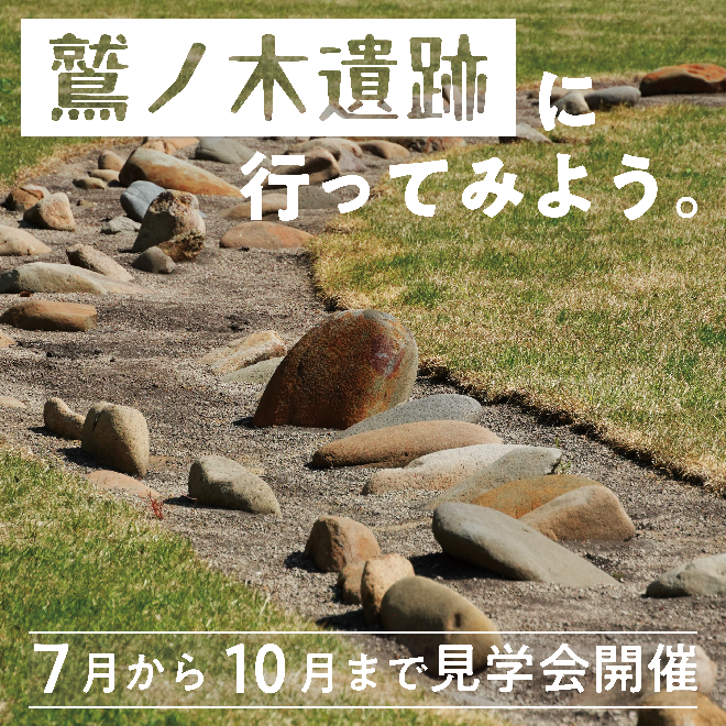7月から10月まで鷲ノ木遺跡の見学ツアーを開催しています。