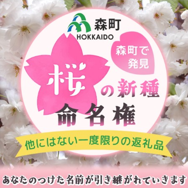 森町へのふるさと納税で、新種の桜に命名できる権利を返戻します。