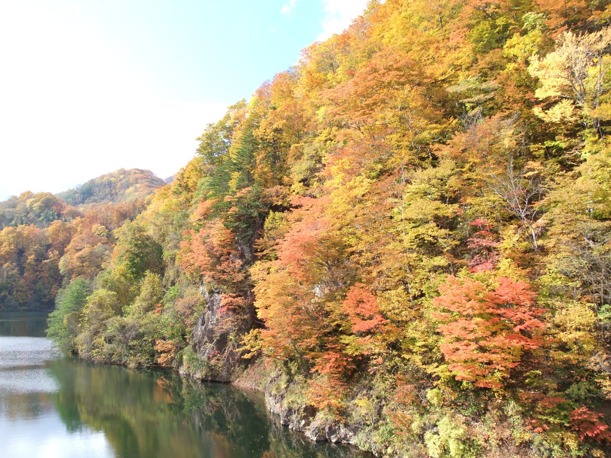 湖の脇に生い茂る木々がオレンジや黄緑に紅葉している様子の写真
