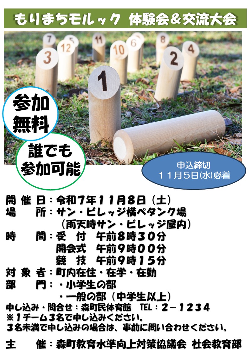 もりまちモルック体験会&交流大会ポスター